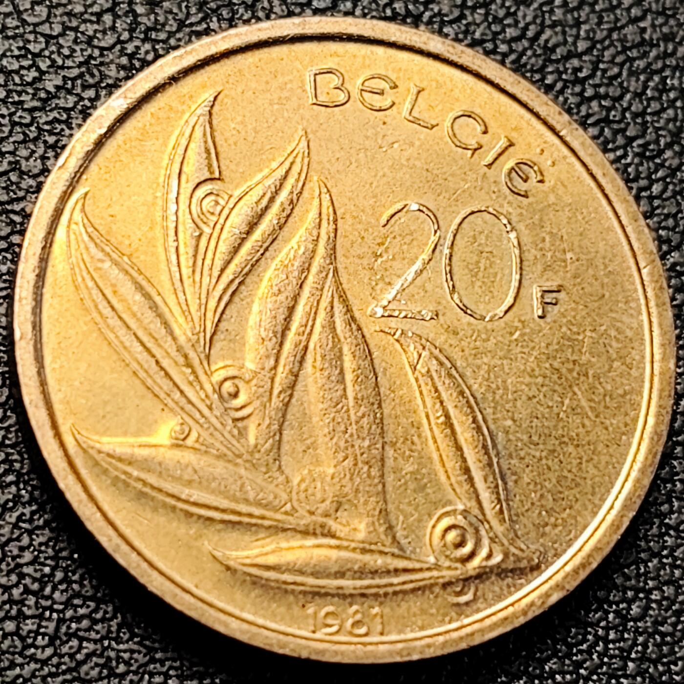 泉币菌-第229场-拍品多 请提前出价