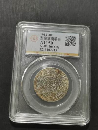 天下钱庄专场欢迎参拍 - 西藏章噶银币