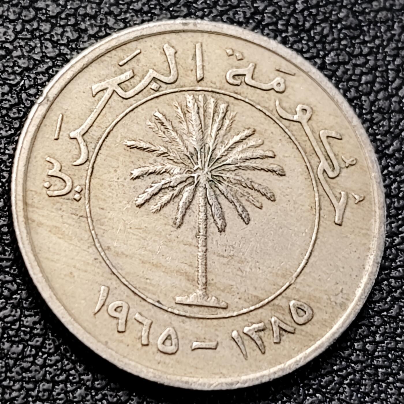 泉币菌-第229场-拍品多 请提前出价