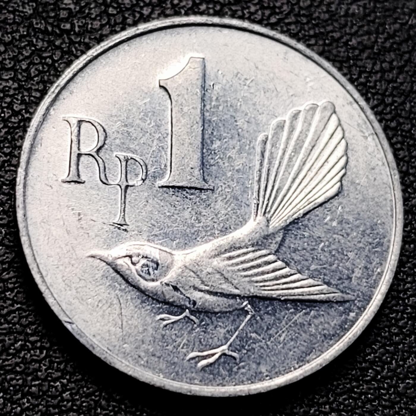 泉币菌-第229场-拍品多 请提前出价