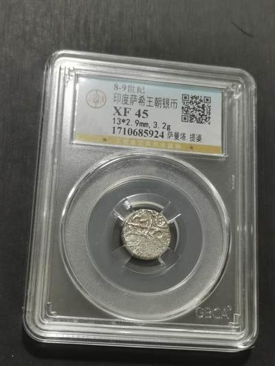 天下钱庄专场欢迎参拍 - 萨希王朝银币