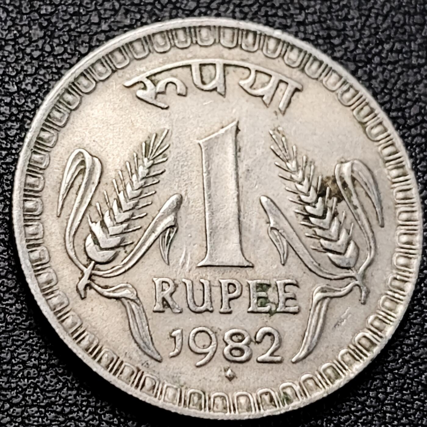 泉币菌-第229场-拍品多 请提前出价