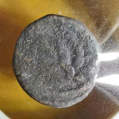 沼泽如烟--第1063场 - 老铜币