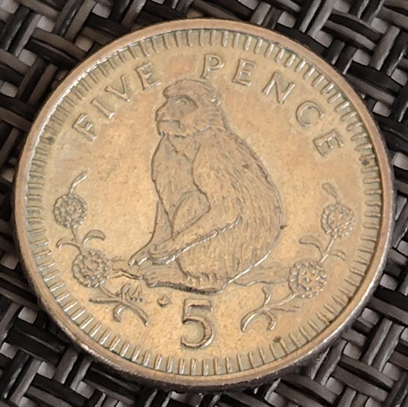 布加迪🐬～世界钱币(上海)🌾第 291 期 /  各国套币和散币 直布罗陀🇬🇮 1991年 5便士