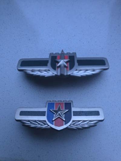 未知胸标2个 - 未知胸标2个