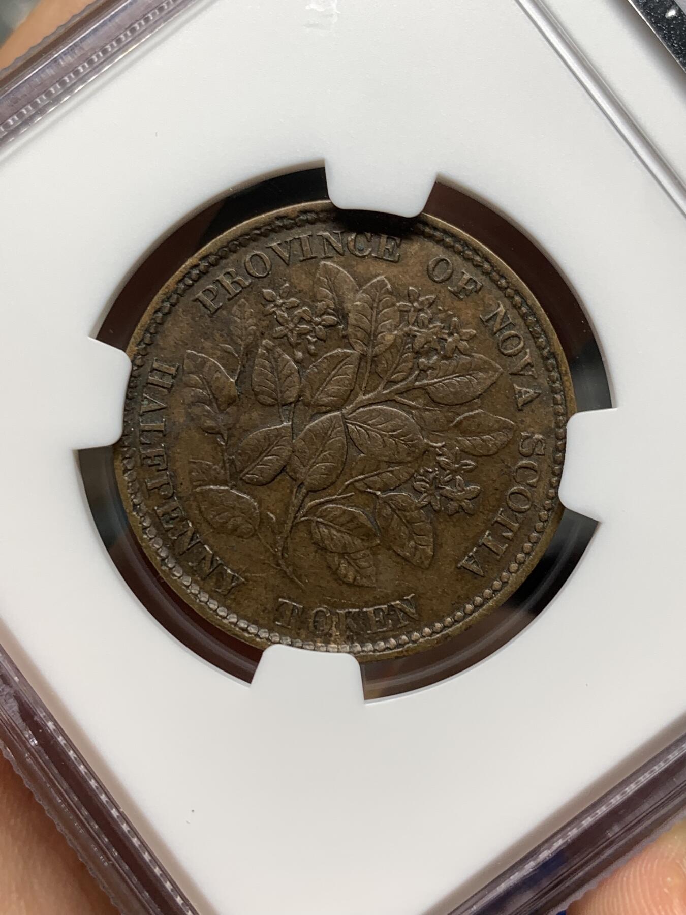 《竞宝斋》第481场 周日，周一 2场连拍 （全场包邮）20级店铺 欢迎送拍 NGC XF45BN 加拿大1856五月花1/2便士 花叶及人像细节很好的一枚，好品少见的品种。背面五月花为北美代表型花卉，是美国开端的象征。略低评状态