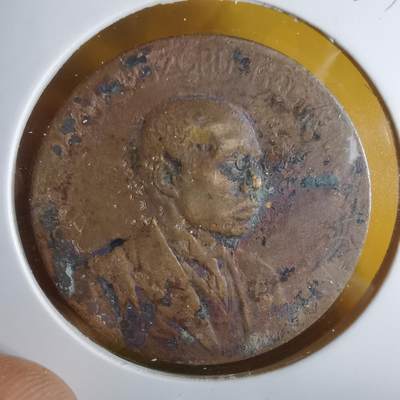 沼泽如烟--第1063场 - 人物纪念章