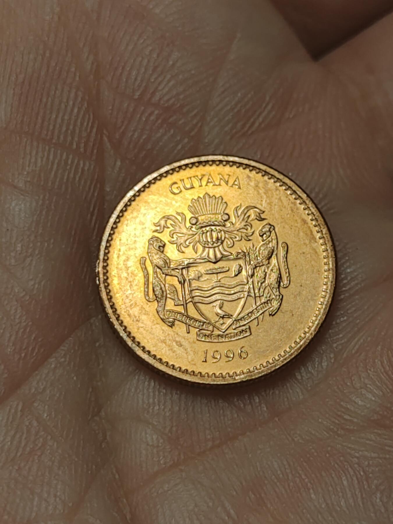 2026年第四十五场(总第二百一十四场）外国好品散币场(免佣金) 圭亚那🇬🇾1996年1元(新版首发年)