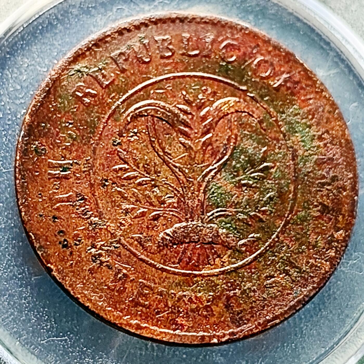 泉币菌-第229场-拍品多 请提前出价