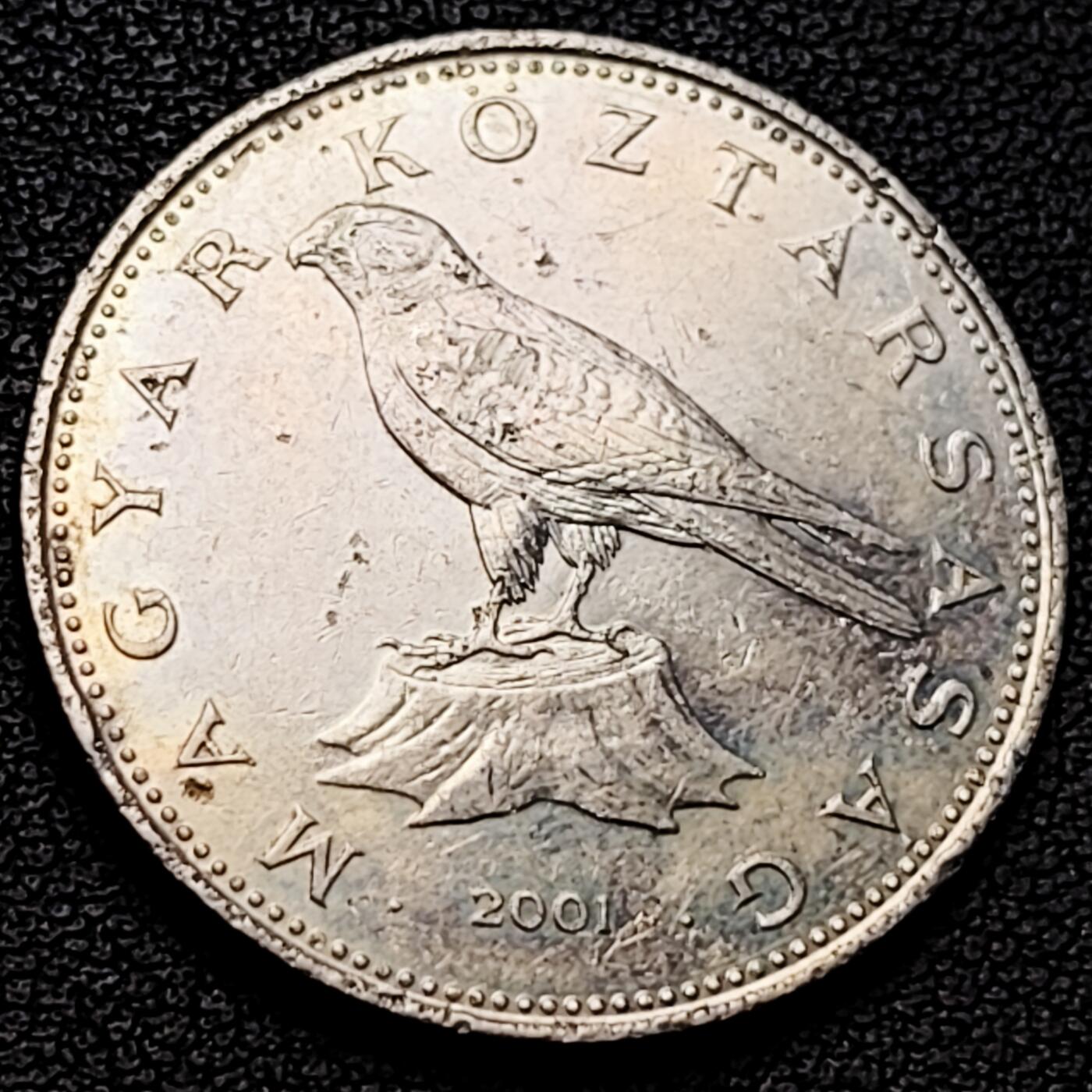 泉币菌-第229场-拍品多 请提前出价