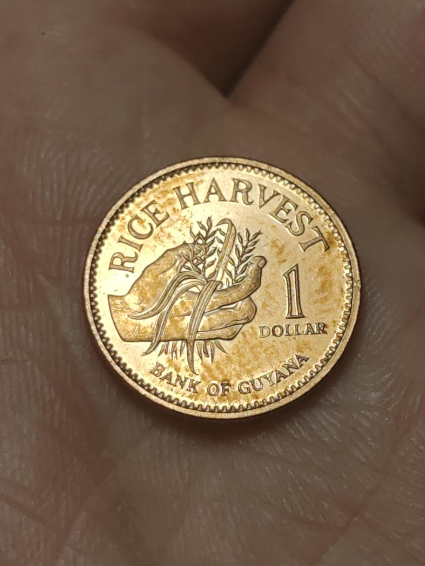 2026年第四十五场(总第二百一十四场）外国好品散币场(免佣金) 圭亚那🇬🇾1996年1元(新版首发年)