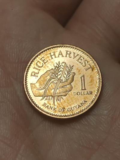 2026年第四十五场(总第二百一十四场）外国好品散币场(免佣金) - 圭亚那🇬🇾1996年1元(新版首发年)