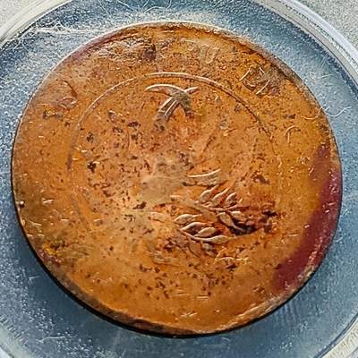 泉币菌-第229场-拍品多 请提前出价 背逆 旗上花 湖南省造二十文铜元 嘉禾 约32×1.5mm