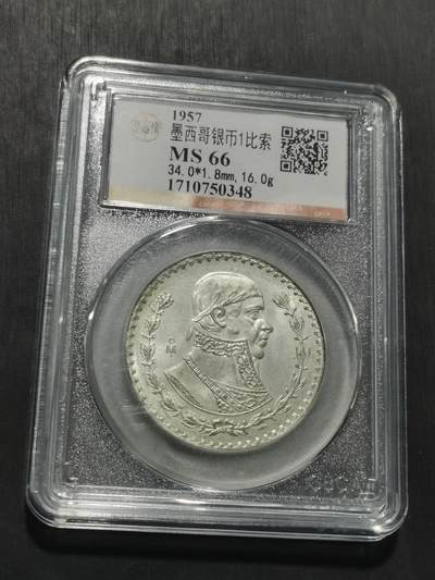 天下钱庄专场欢迎参拍 - 墨西哥一比索银币