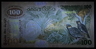 小福收藏拍卖第205期 裸钞场 本期有多张豹子号靓号  大量民国钞 百慕大样钞洋葱冠全套  阿富汗首年份查希尔国王和独立纪念碑 仅发行1000枚亚克力砖封蒙古20000图格里克帝国800周年纪念钞 卢旺达 东加勒比 斯里兰卡等多国精美纸币 斯里兰卡 锡兰 1979年 100卢比 大金鸟 999豹子头 边角有小瑕疵 unc