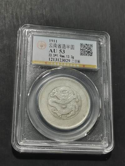 天下钱庄专场欢迎参拍 - 云南半圆龙银币