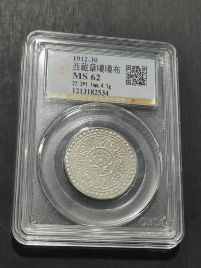 天下钱庄专场欢迎参拍 - 西藏章噶银币