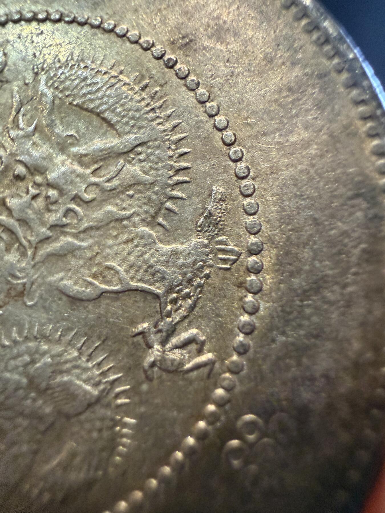 云南半圆龙马尾珠小珍珠