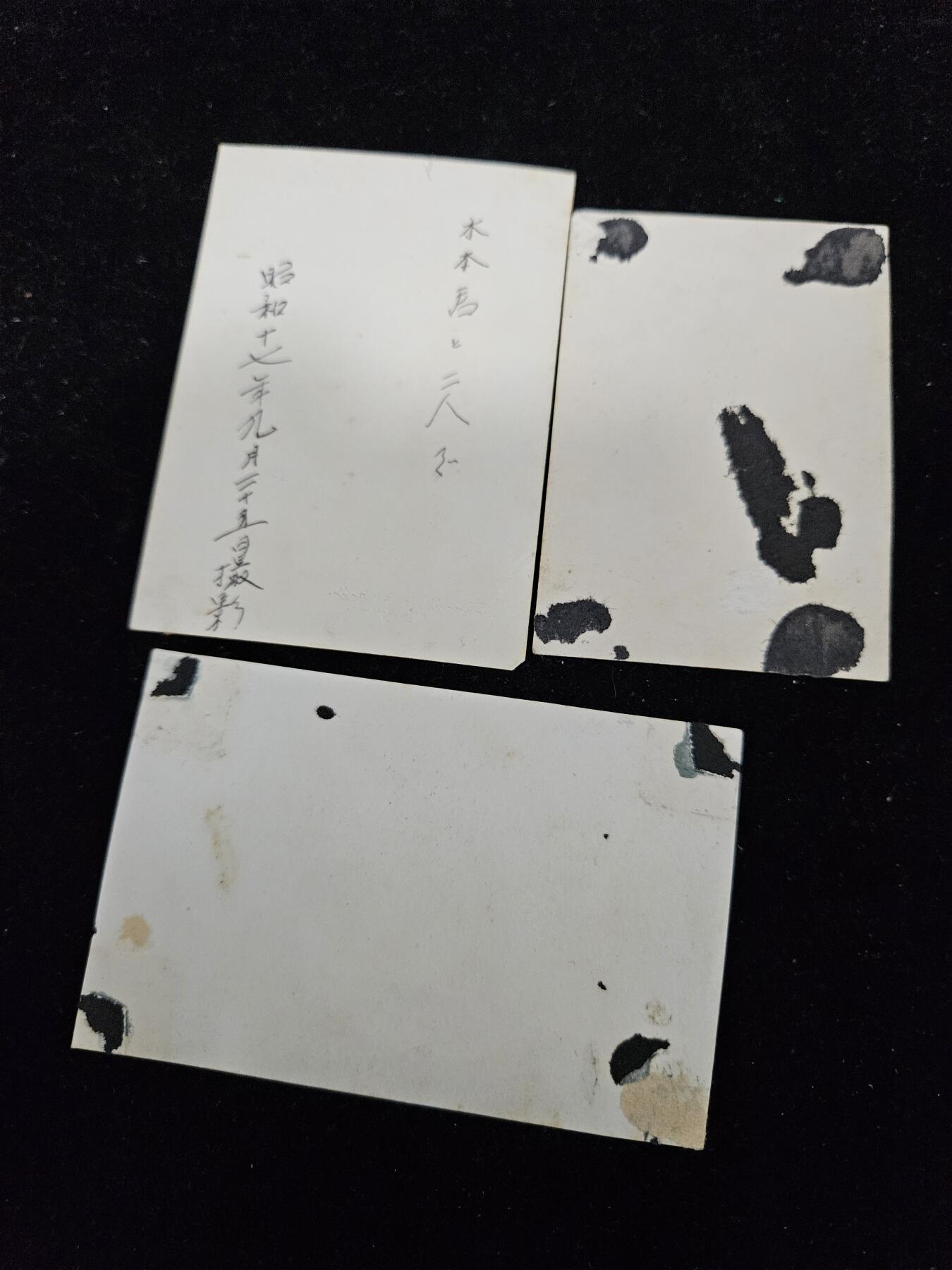 0元起拍勋章 第348期 咸鱼国勋章拍卖专场 4月22日（周三）下午6：00开始