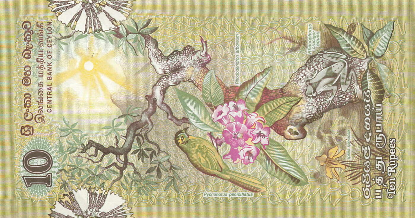 小福收藏拍卖第205期 裸钞场 本期有多张豹子号靓号  大量民国钞 百慕大样钞洋葱冠全套  阿富汗首年份查希尔国王和独立纪念碑 仅发行1000枚亚克力砖封蒙古20000图格里克帝国800周年纪念钞 卢旺达 东加勒比 斯里兰卡等多国精美纸币