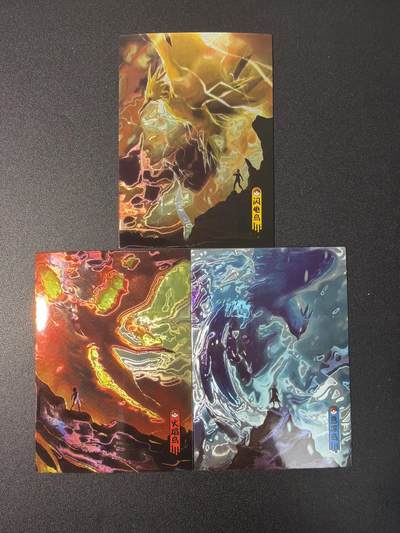 NO.31 好又多金牌大场，期期夯爆，每周必拍！要啥有啥，一站式配齐，方便凑单！（周6晚9点截拍，卖家送拍0抽成！） 新秀卡牌 宝可梦 闪电鸟 急冻鸟 火焰鸟 3张 镭光