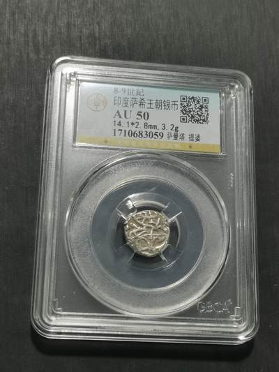 天下钱庄专场欢迎参拍 - 萨希王朝银币