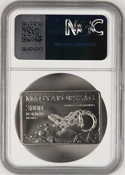 S&S Numismatic世界钱币-拍卖 第126期  匈牙利2025年 匈牙利国家公园系列-阿格特莱克国家公园 3000福林纪念币 NGC MS70冠军分 古建筑特殊标签