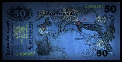 小福收藏拍卖第205期 裸钞场 本期有多张豹子号靓号  大量民国钞 百慕大样钞洋葱冠全套  阿富汗首年份查希尔国王和独立纪念碑 仅发行1000枚亚克力砖封蒙古20000图格里克帝国800周年纪念钞 卢旺达 东加勒比 斯里兰卡等多国精美纸币 斯里兰卡 锡兰 1979年 50卢比 aunc