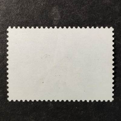 ↓君缘收藏797期☞钱币邮品↓无佣金、可寄存、满30元包邮  苏联邮票，1985年布良斯克建城1000周年纪念邮票1全