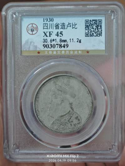 四川省造卢比 - 四川省造卢比