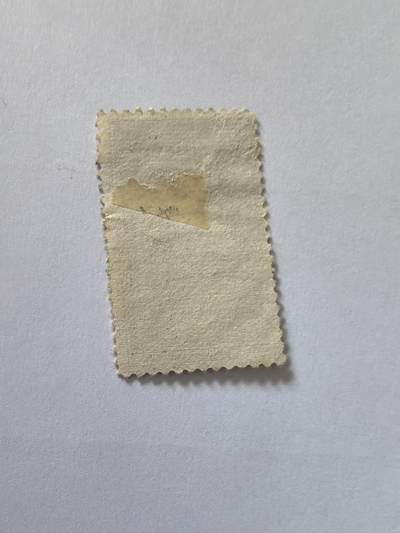 杂票 美国邮票 国家公园 喷泉1枚旧