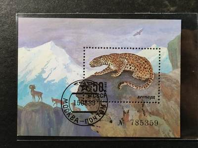 ↓君缘收藏797期☞钱币邮品↓无佣金、可寄存、满30元包邮  苏联邮票，1985年保护野生动物远东豹(东北豹)邮票小型张