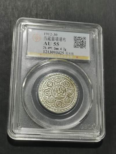 天下钱庄专场欢迎参拍 - 西藏章噶银币