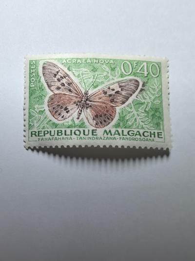 杂票 - 马拉加什邮票 蝴蝶1枚旧
