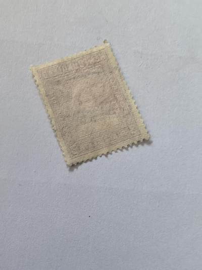 杂票 纽芬兰邮票 乔六王妃像1枚旧