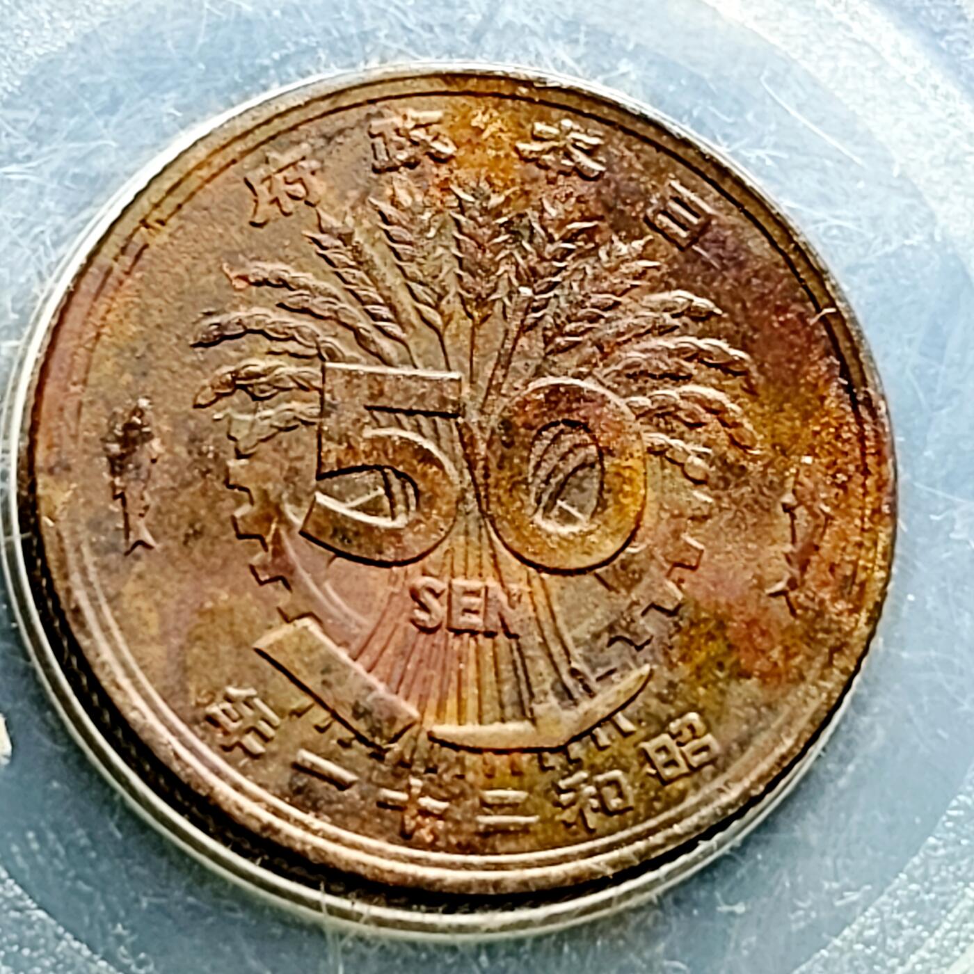 泉币菌-第230场-拍品多 请提前出价