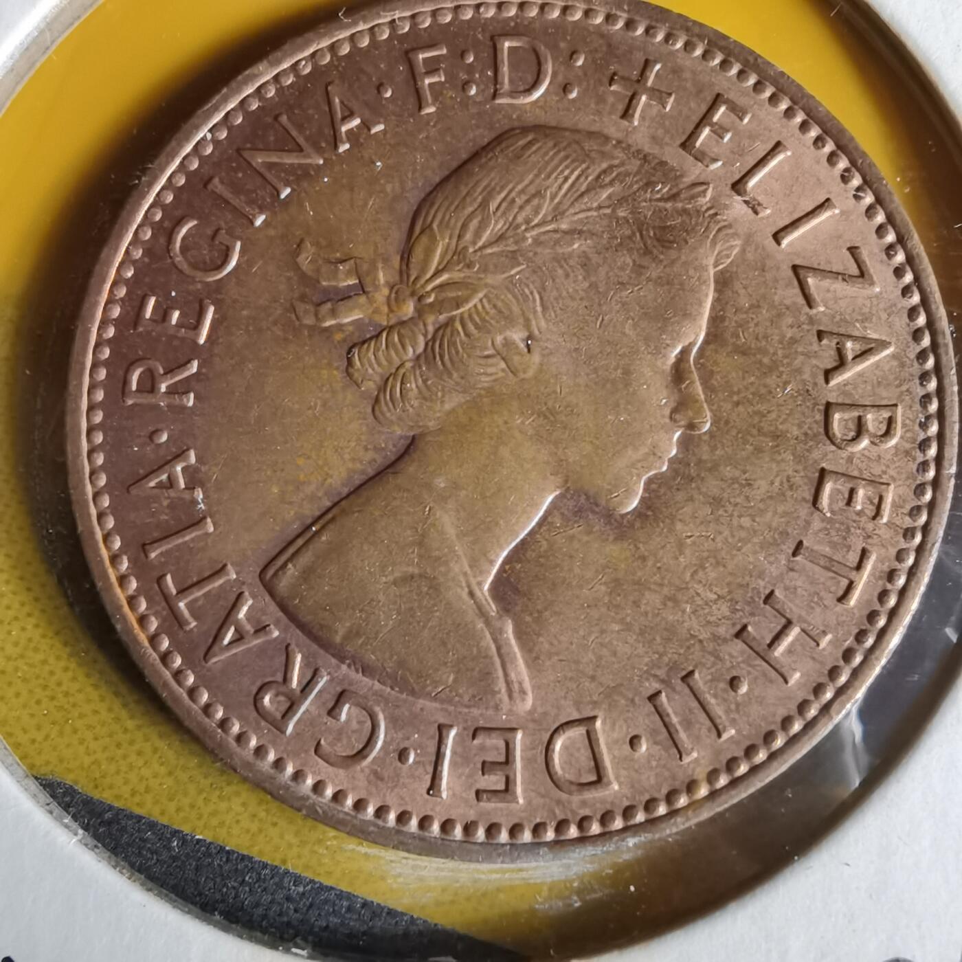 沼泽如烟--第1062场