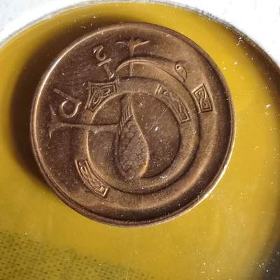 沼泽如烟--第1062场 爱尔兰1982年半便士