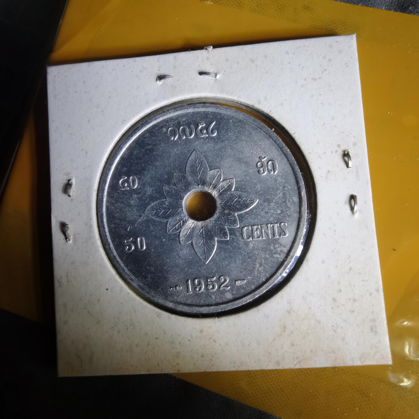 沼泽如烟--第1062场