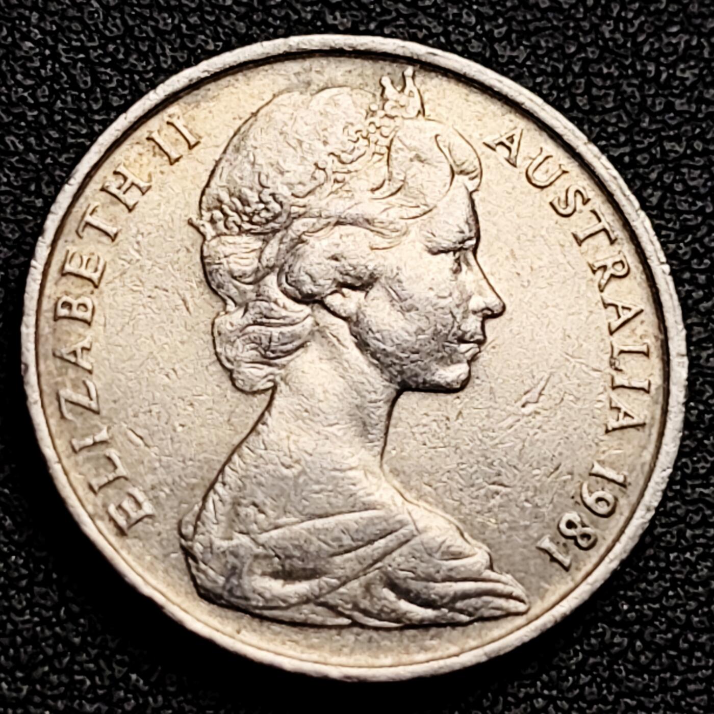 泉币菌-第230场-拍品多 请提前出价