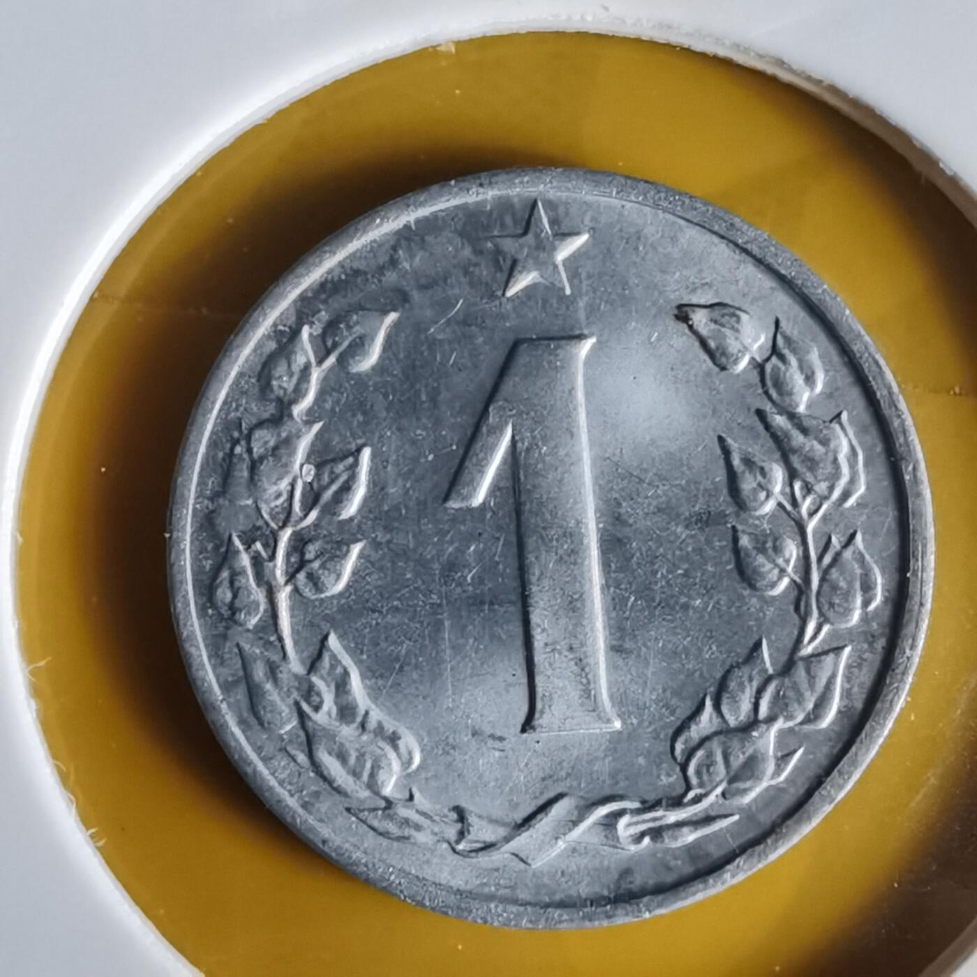 沼泽如烟--第1062场