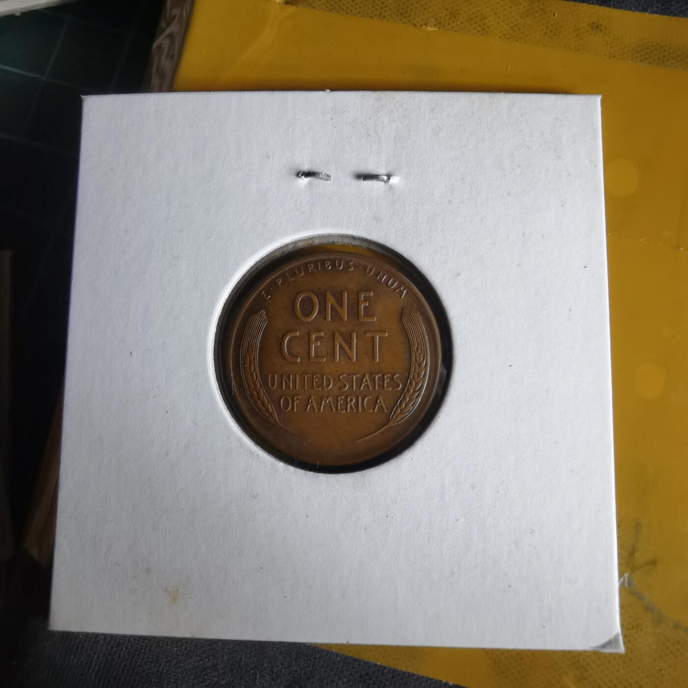 沼泽如烟--第1062场