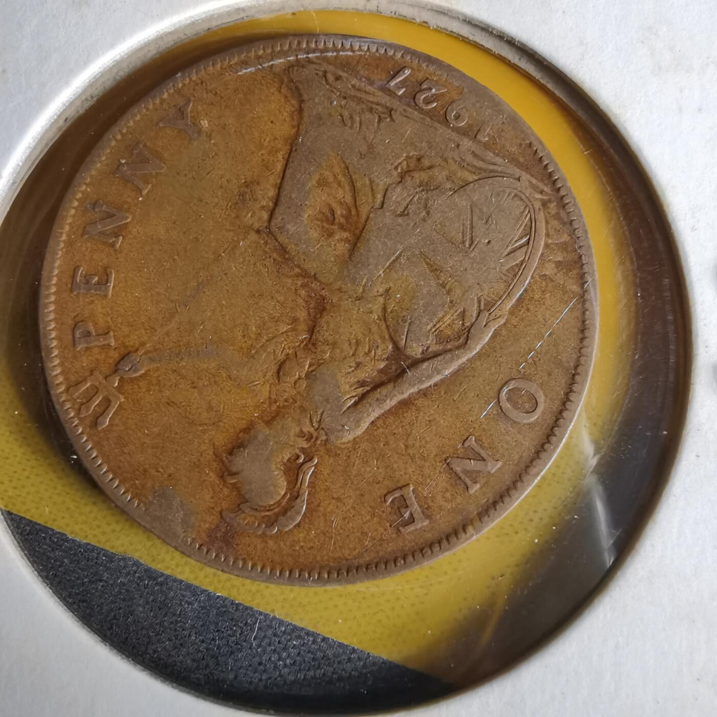 沼泽如烟--第1062场