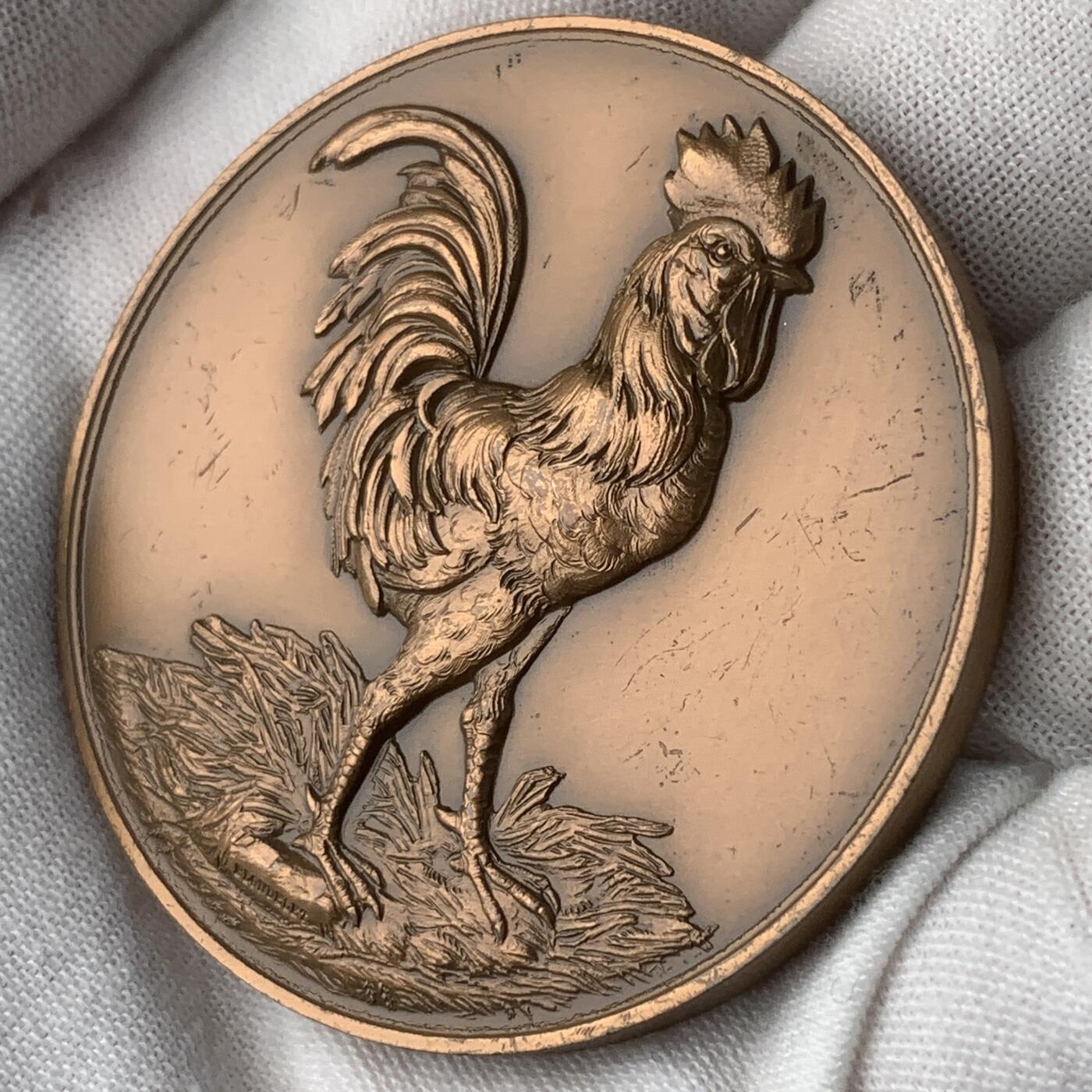掌中浮雕-藏着的欧洲第059场 法国家禽养殖铜章，50mm，67g