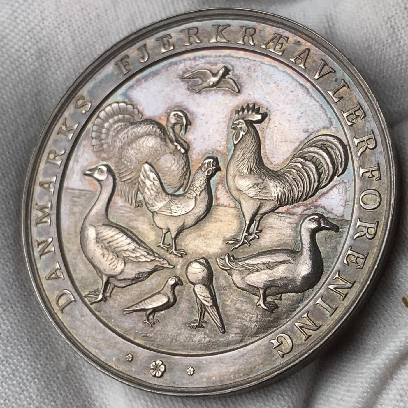 掌中浮雕-藏着的欧洲第059场 1914年丹麦家禽展览会纪念银章，43mm，34.5g，原盒