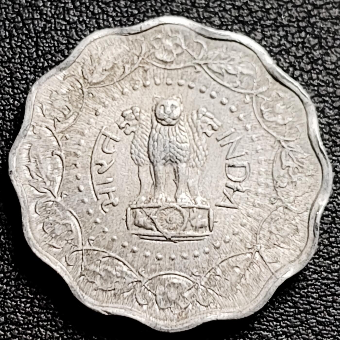 泉币菌-第230场-拍品多 请提前出价