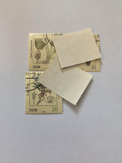 杂票 东德邮票 花卉5枚旧