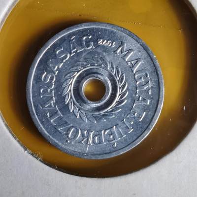 沼泽如烟--第1062场 匈牙利1972年2菲勒