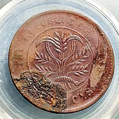 泉币菌-第230场-拍品多 请提前出价 湖南省 双旗 旗上花 中华民国当制钱二十文铜元 约 32×1.5mm