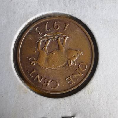 沼泽如烟--第1062场 百慕大1973年一分